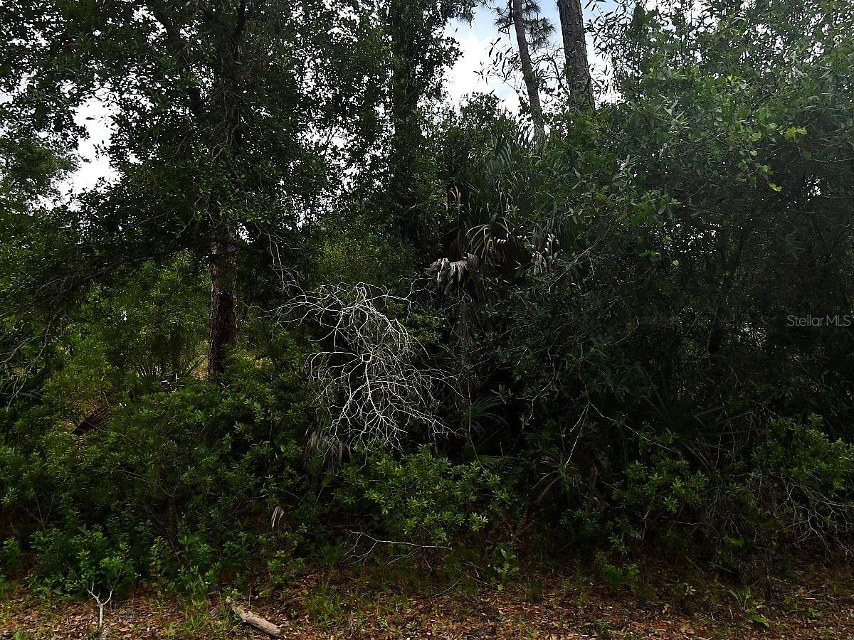 Loffreda Ave, North Port, FL 34291 · MLS# A4702438 — photo 1 of 1