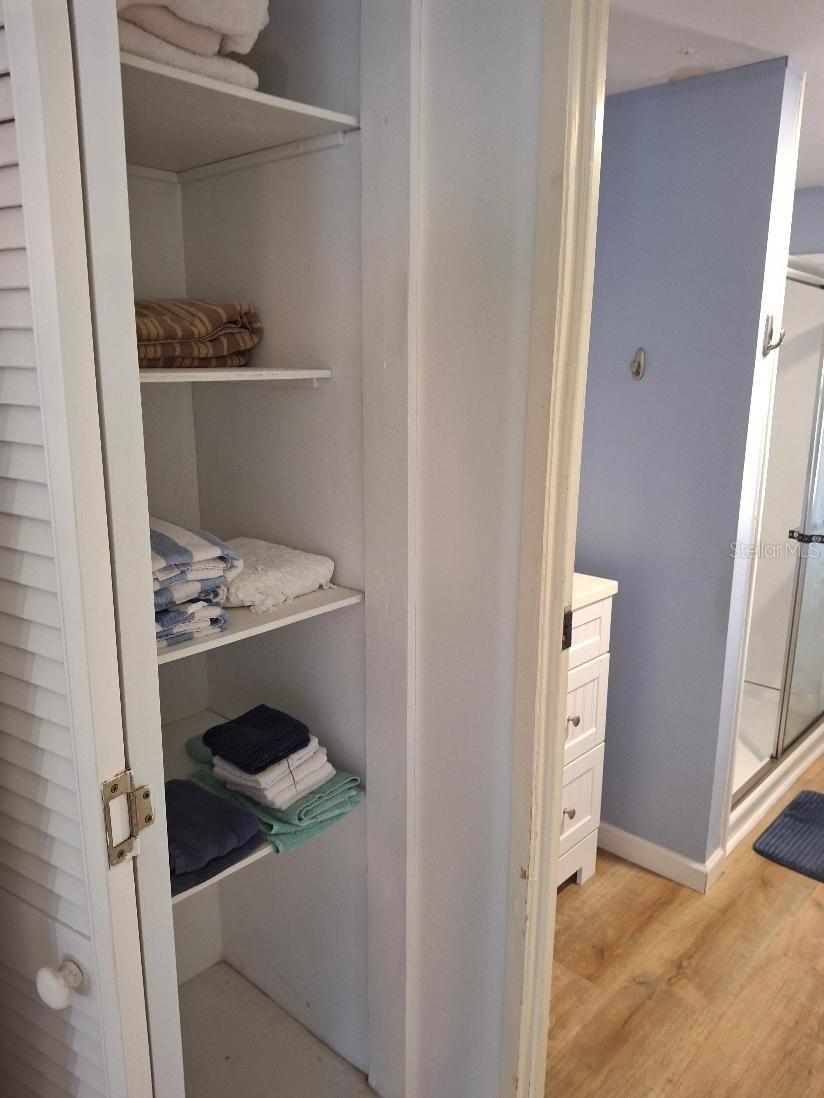 2nd Bathroom Linen Closet