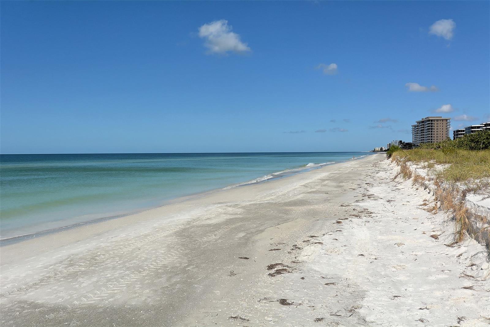 455 Longboat Club Rd #905, Longboat Key, FL 34228 — photo 57 of 75
