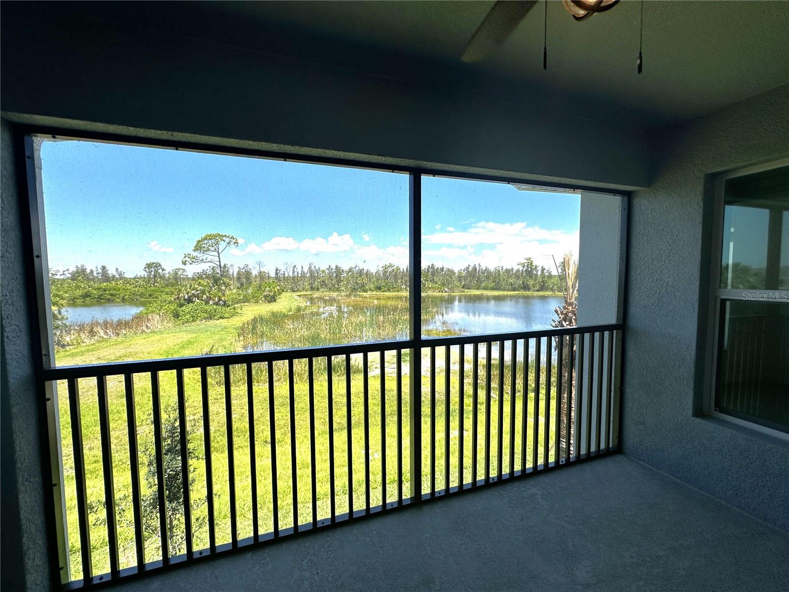Rear screened in lanai