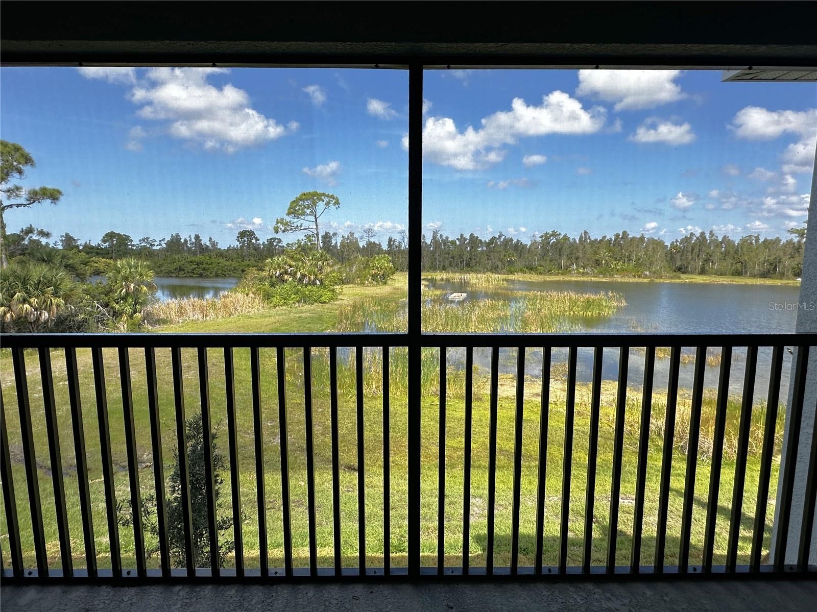 Rear screened in lanai