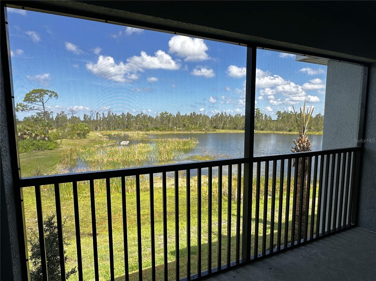 Rear screened in lanai