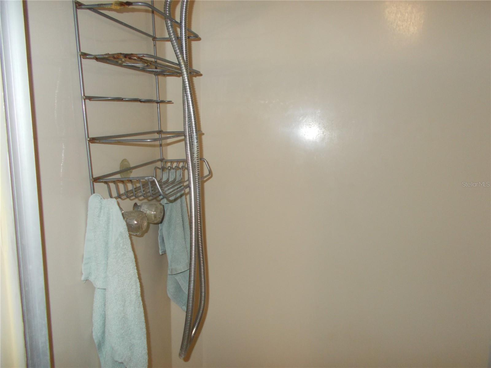 Primary Shower