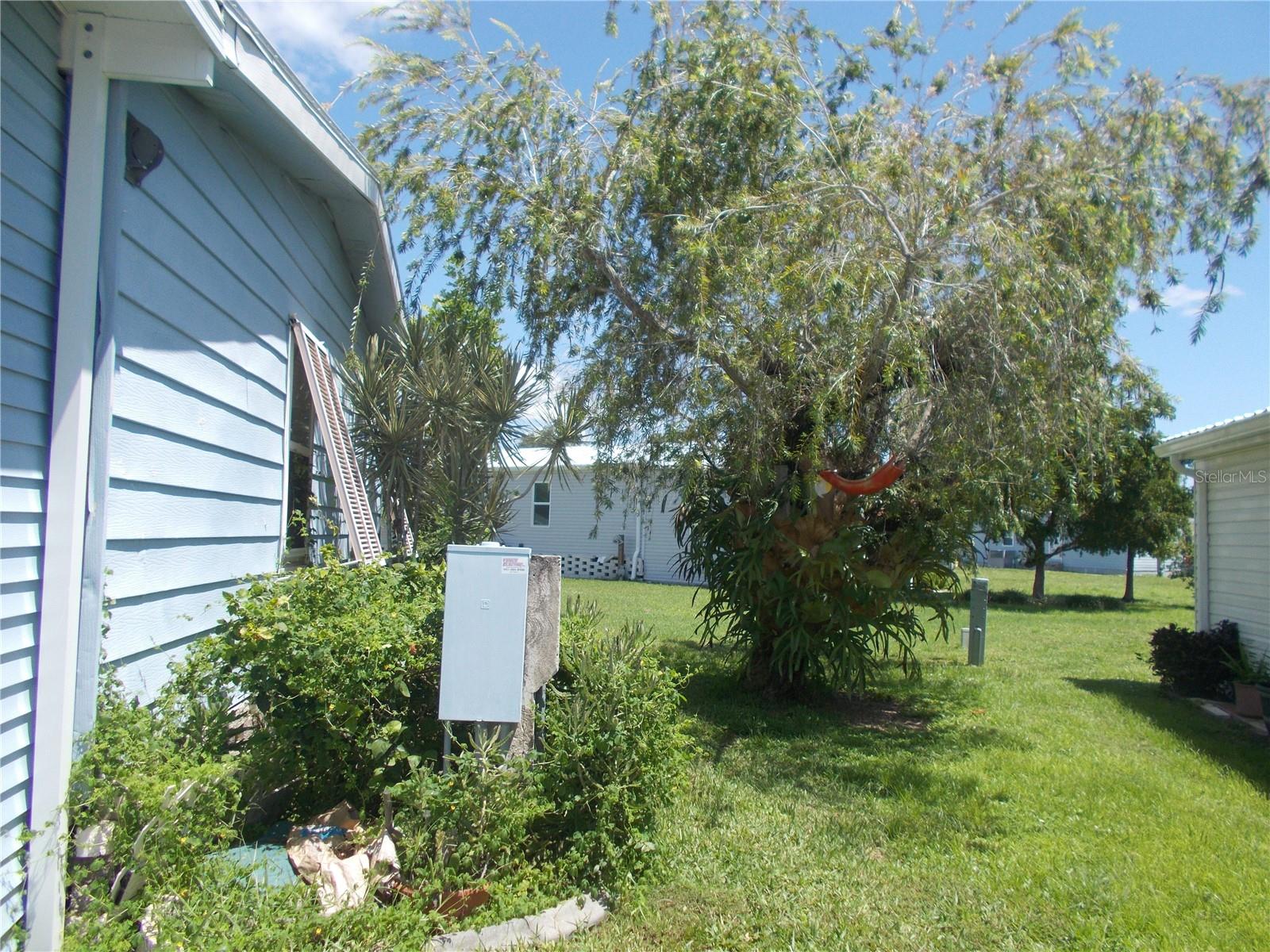 Back of Property