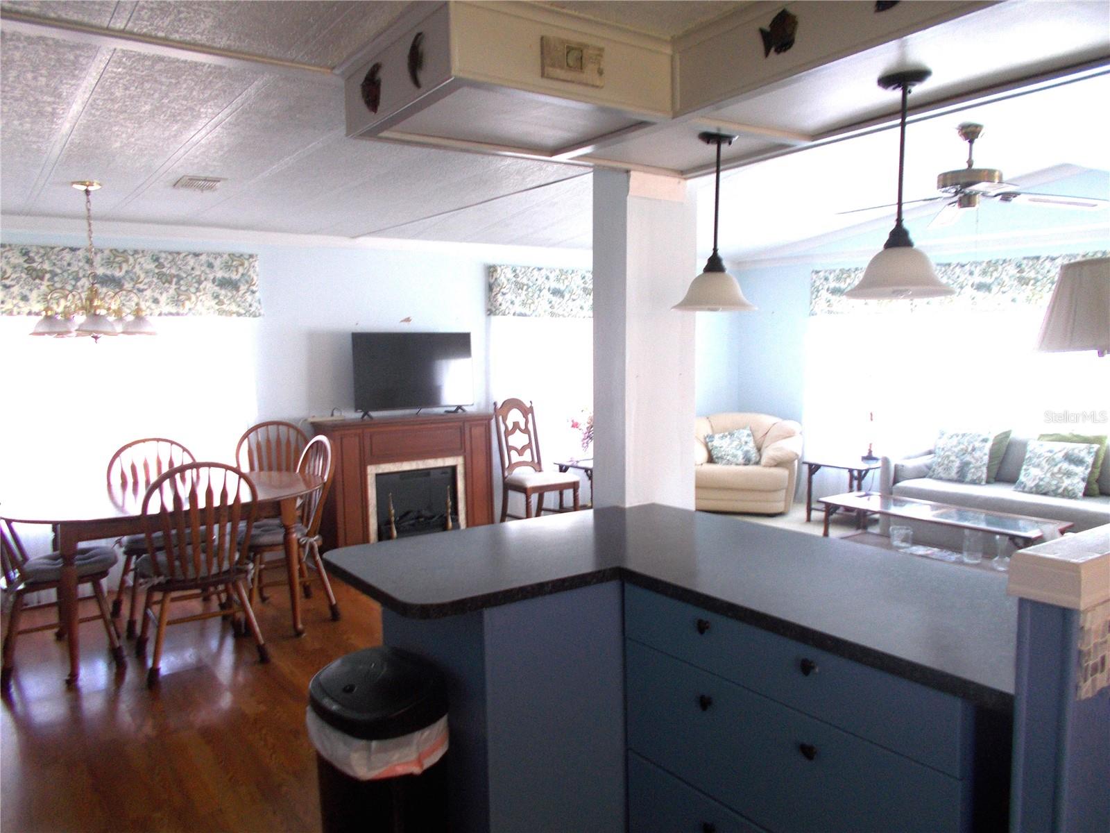 Looking from Kitchen into Dining Room & Living Room