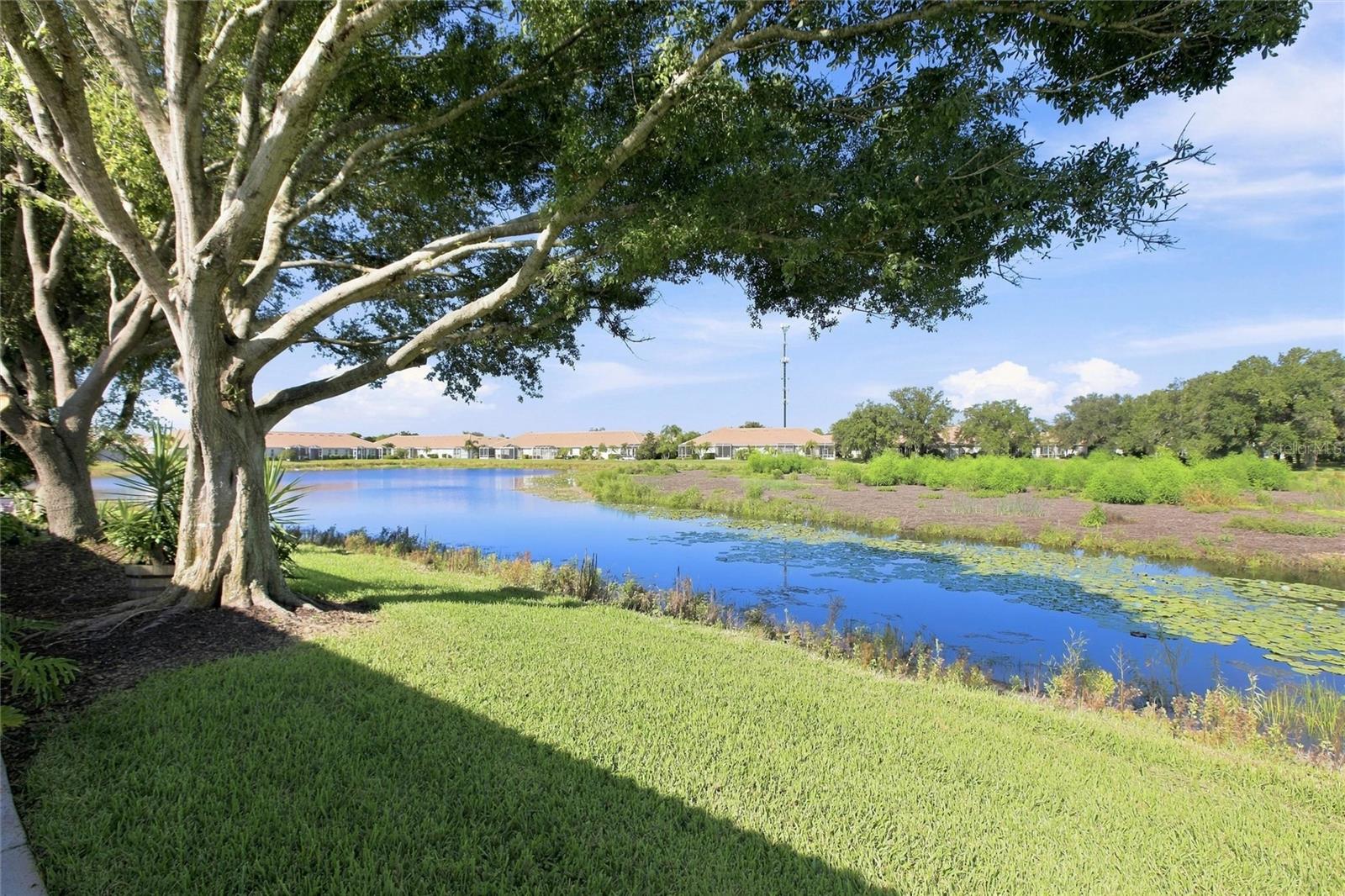 1814 San Silvestro Dr, Venice, FL 34285 — photo 39 of 47