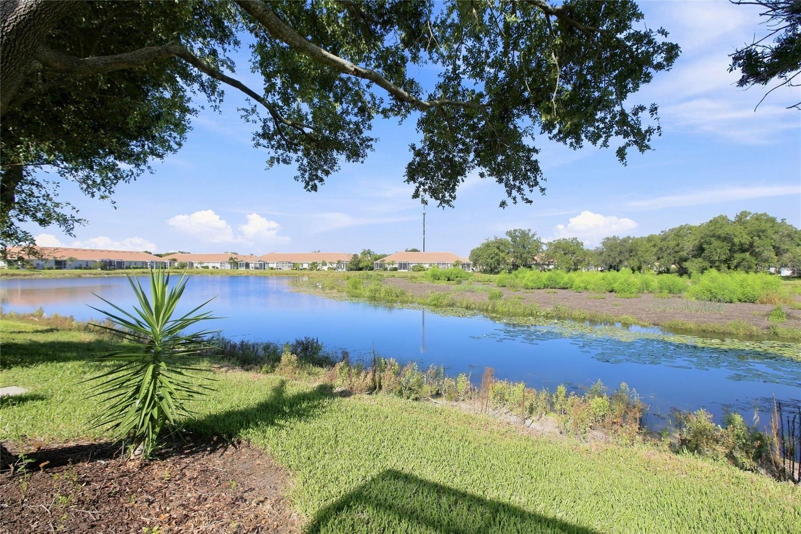 1814 San Silvestro Dr, Venice, FL 34285 — photo 40 of 47