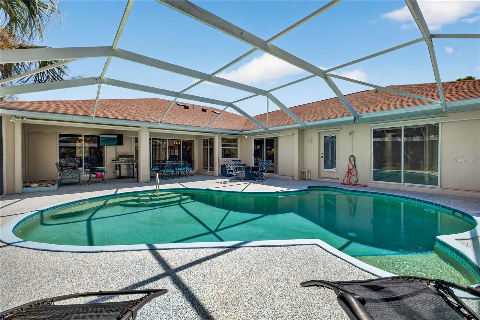 Dolphin shaped pool