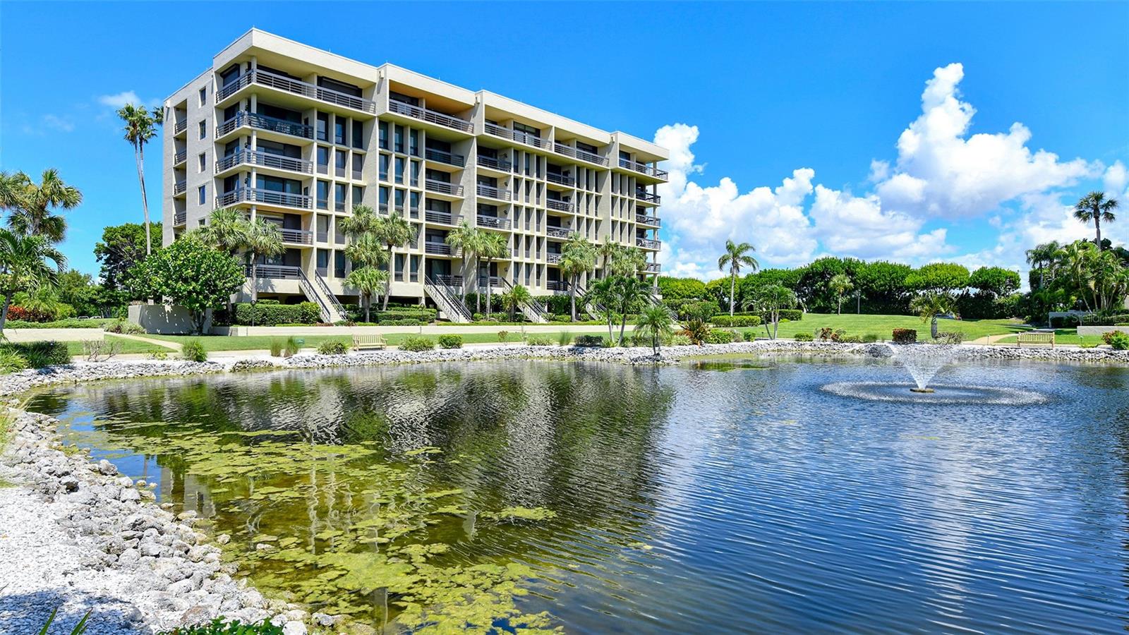Water views