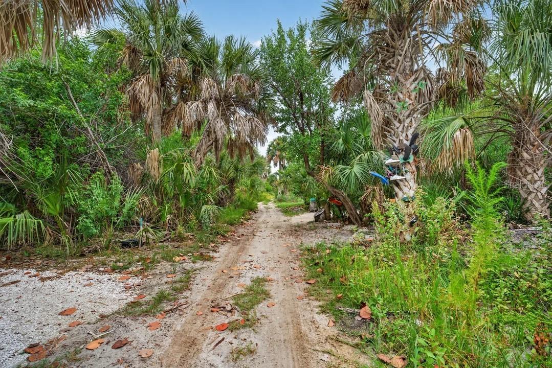 Doubloon Trail
