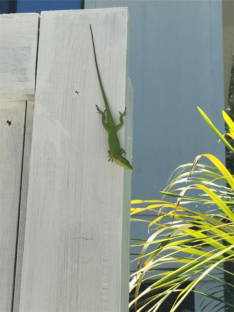 9602 Doubloon Trl, Placida, FL 33946 — photo 57 of 62