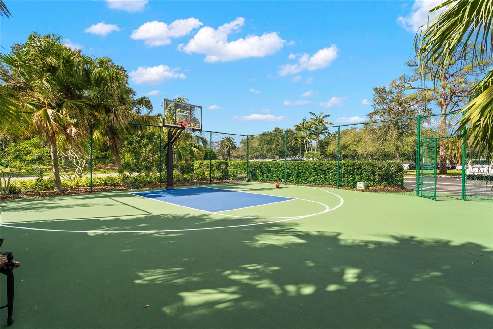 409 N Point Rd #803, Osprey, FL 34229 — photo 56 of 60