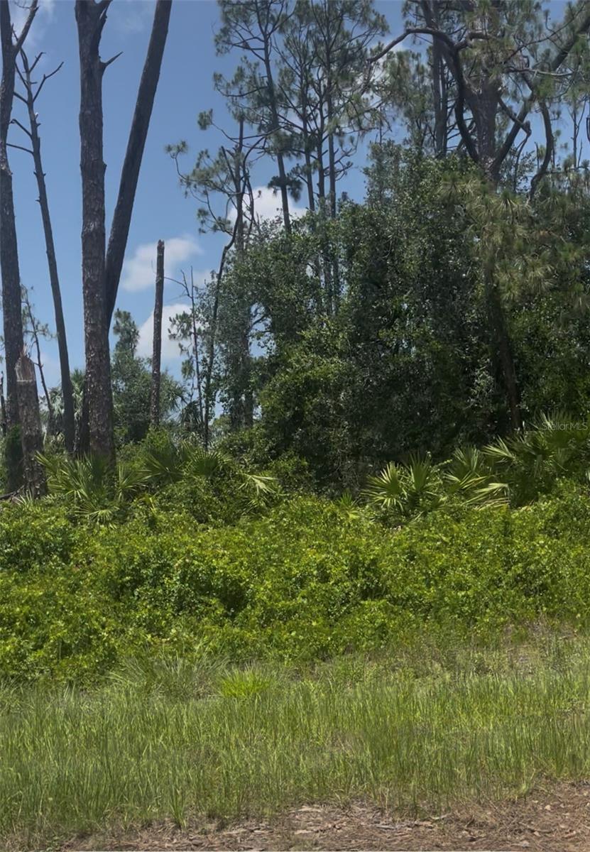 Tepee Ave, North Port, FL 34291 · MLS# A4703681 — photo 1 of 1