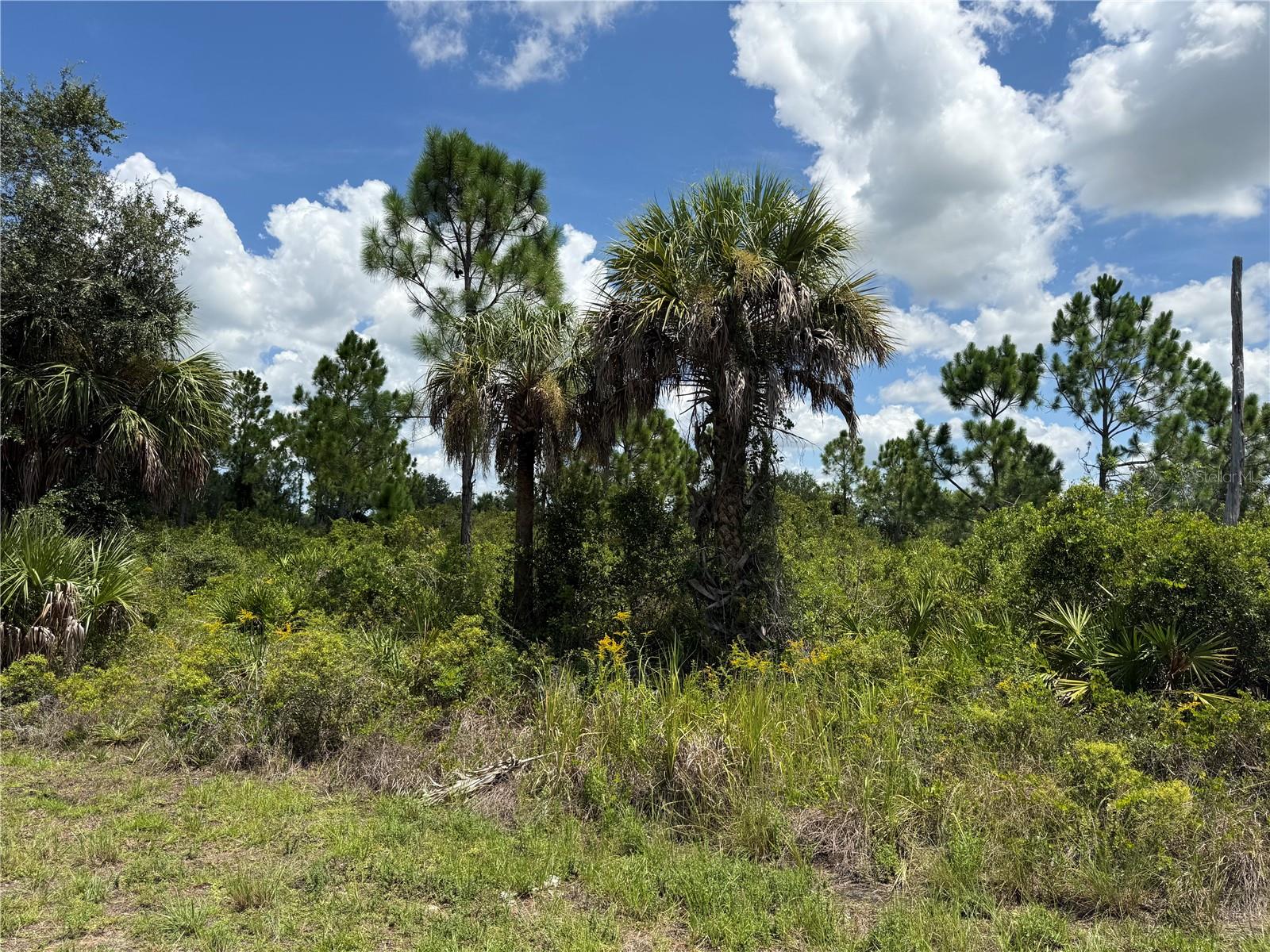 356 Lakewood Ln, Port Charlotte, FL 33953 — photo 1 of 1