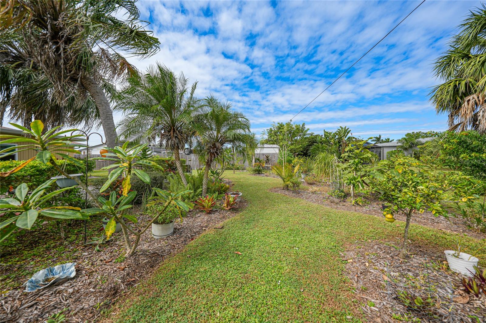 Lush Backyard Landscaping with Fruit Trees