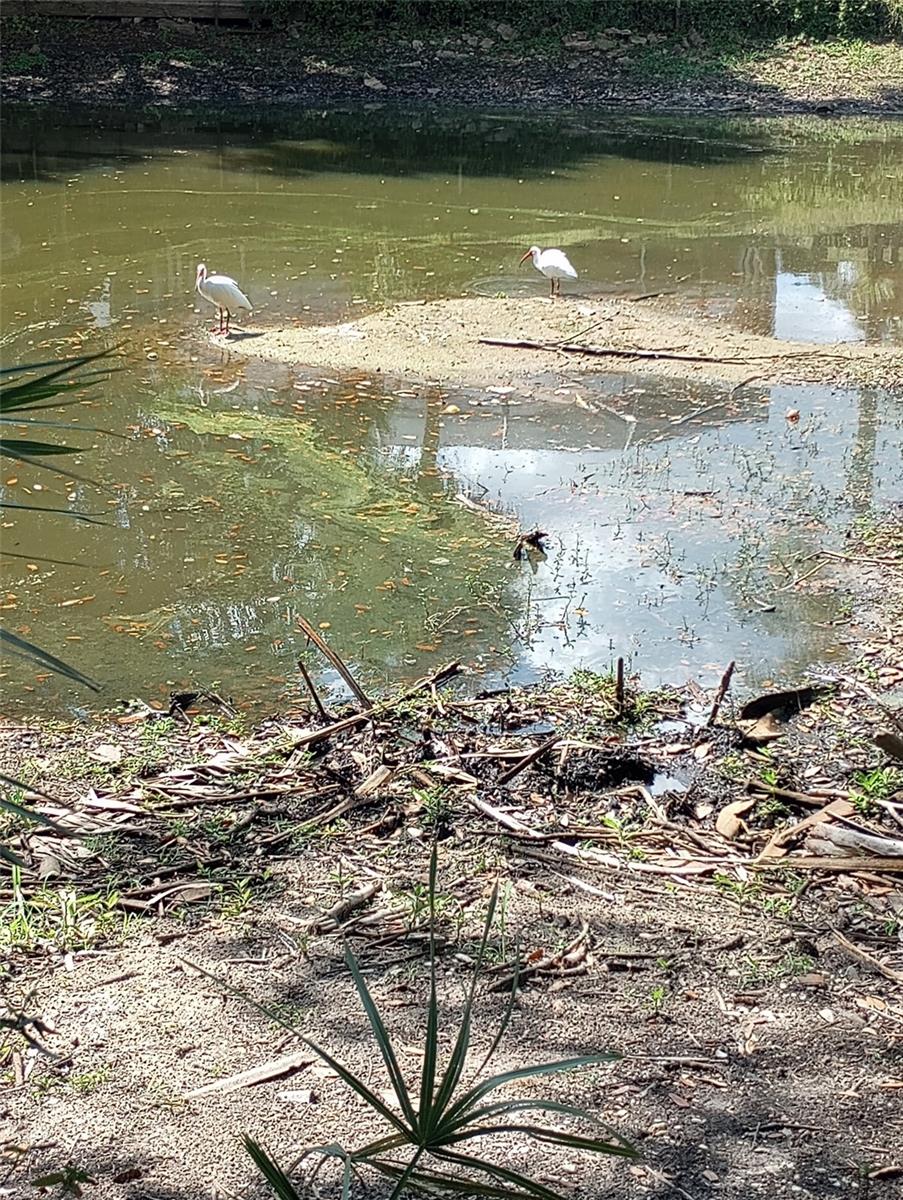 Nearby Audubon-Pennington Nature Park