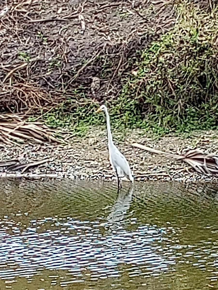Nearby Audubon-Pennington Nature Park