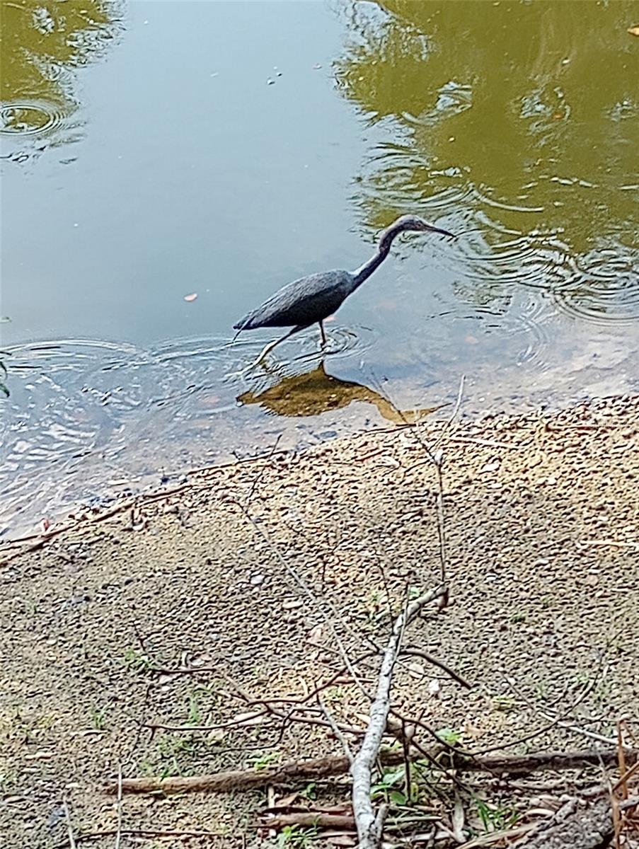 Nearby Audubon-Pennington Nature Park
