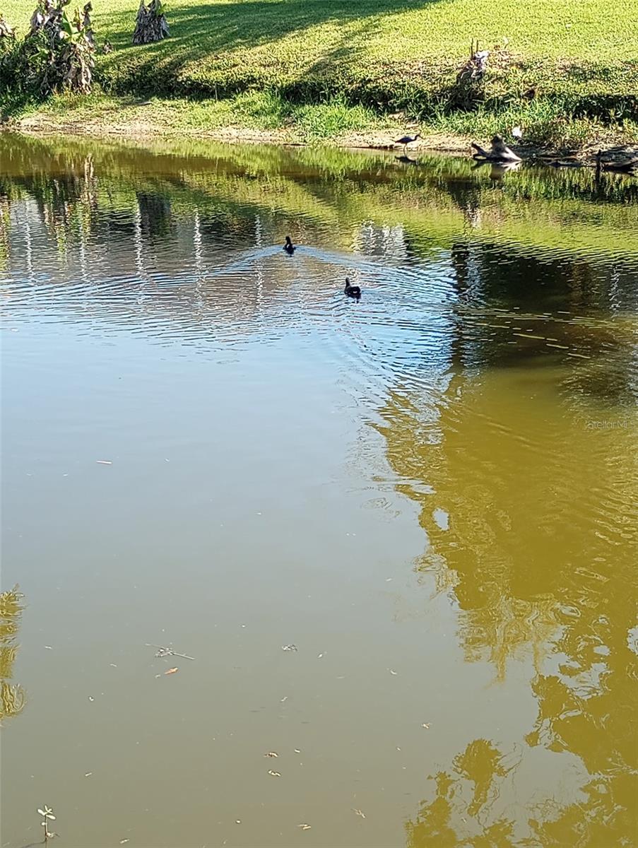 Nearby Audubon-Pennington Nature Park