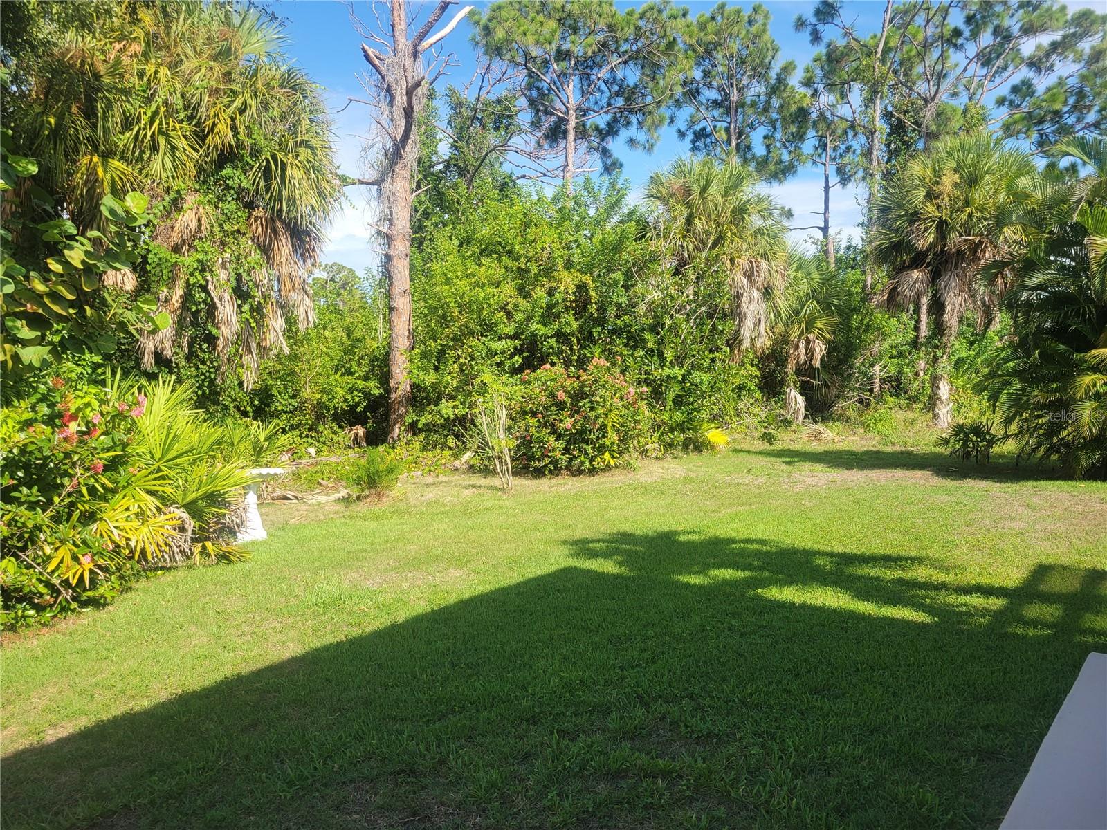 Rear Yard
