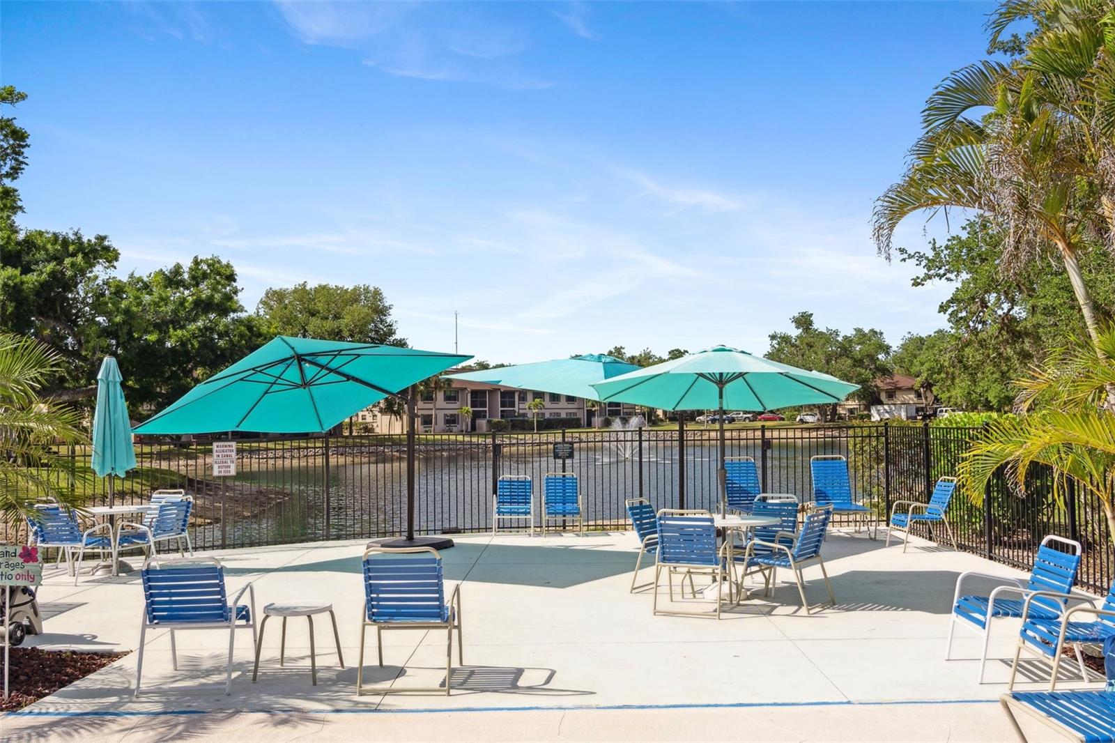 Pool Deck