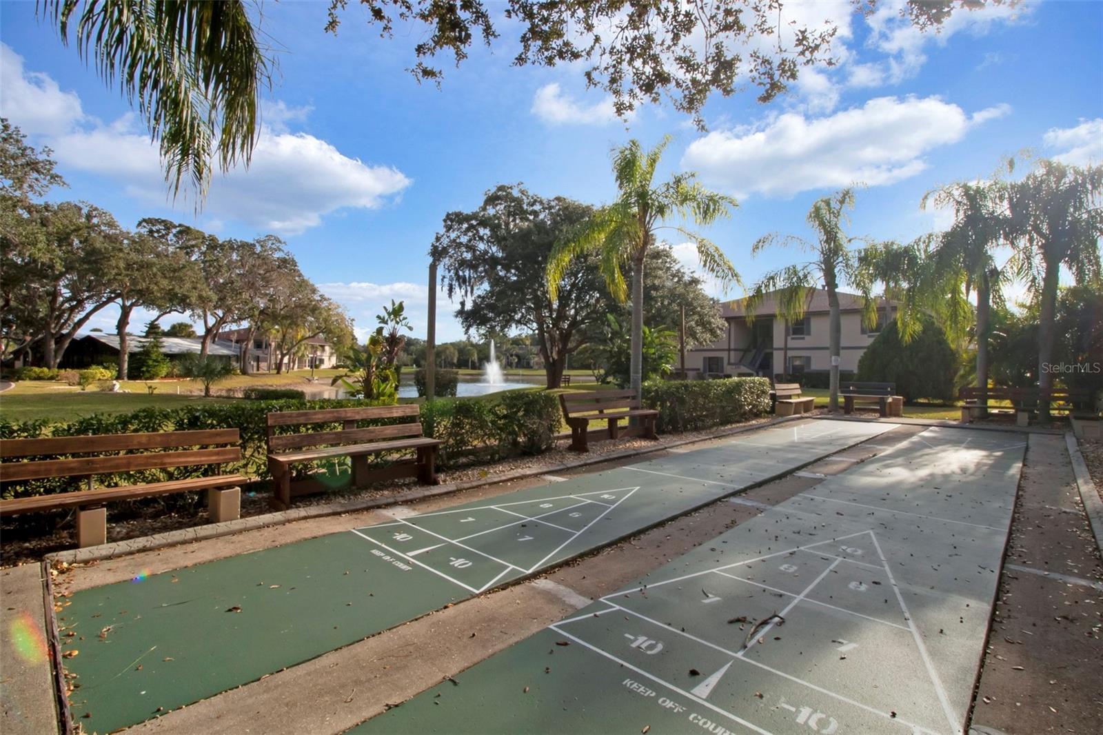 Shuffleboard Court