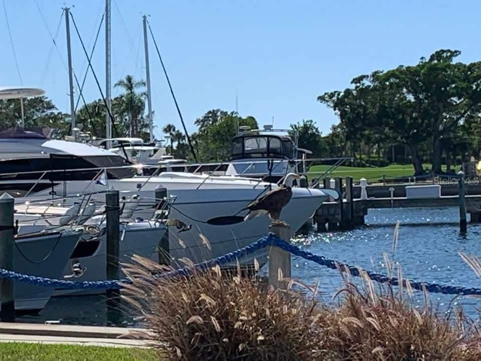2600 Harbourside Dr #I-12, Longboat Key, FL 34228 — photo 5 of 16