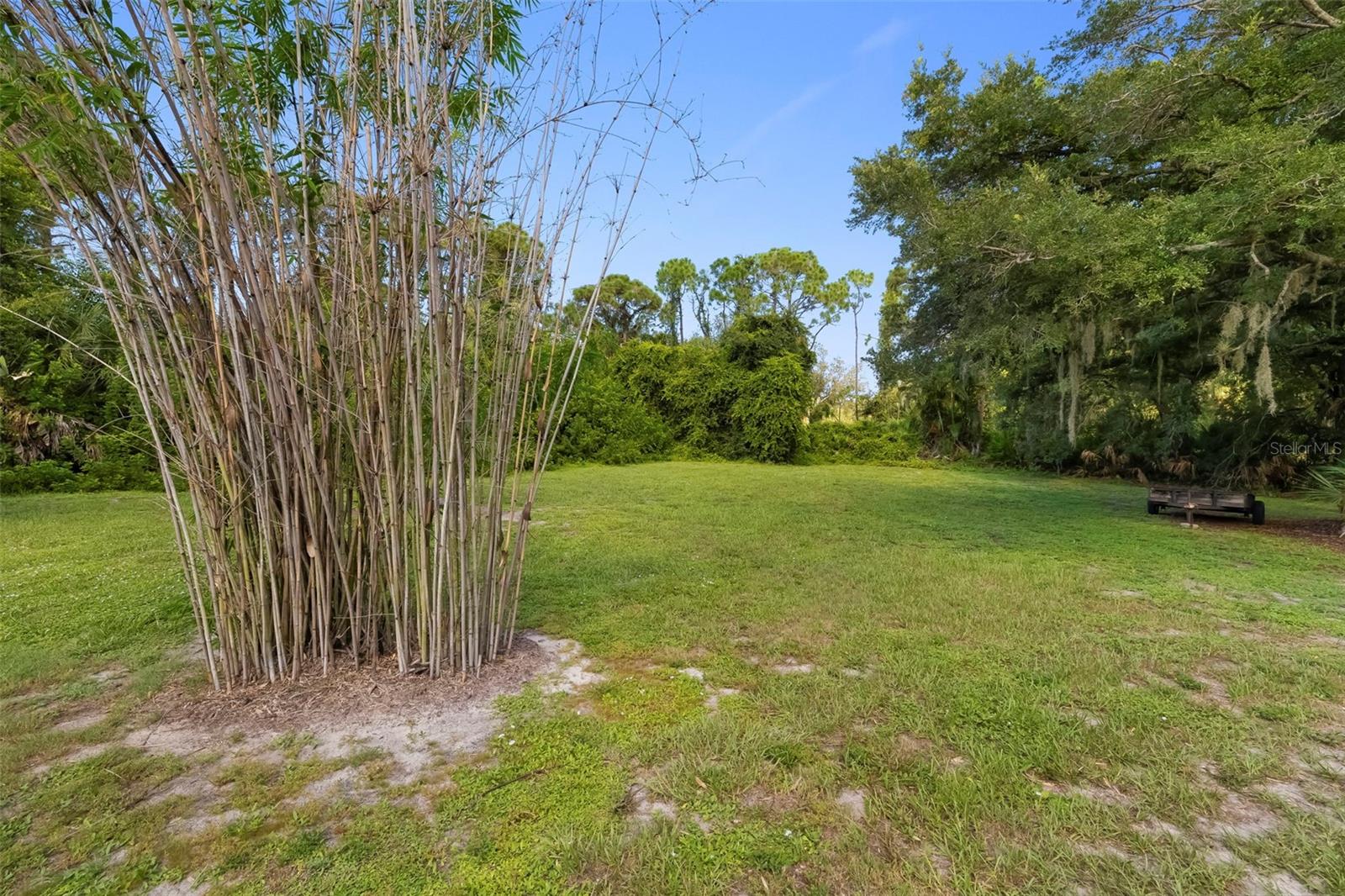 296 Pine Ranch Trl, Osprey, FL 34229 — photo 69 of 100