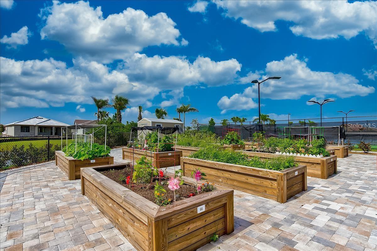 Clubhouse Community Garden Beds