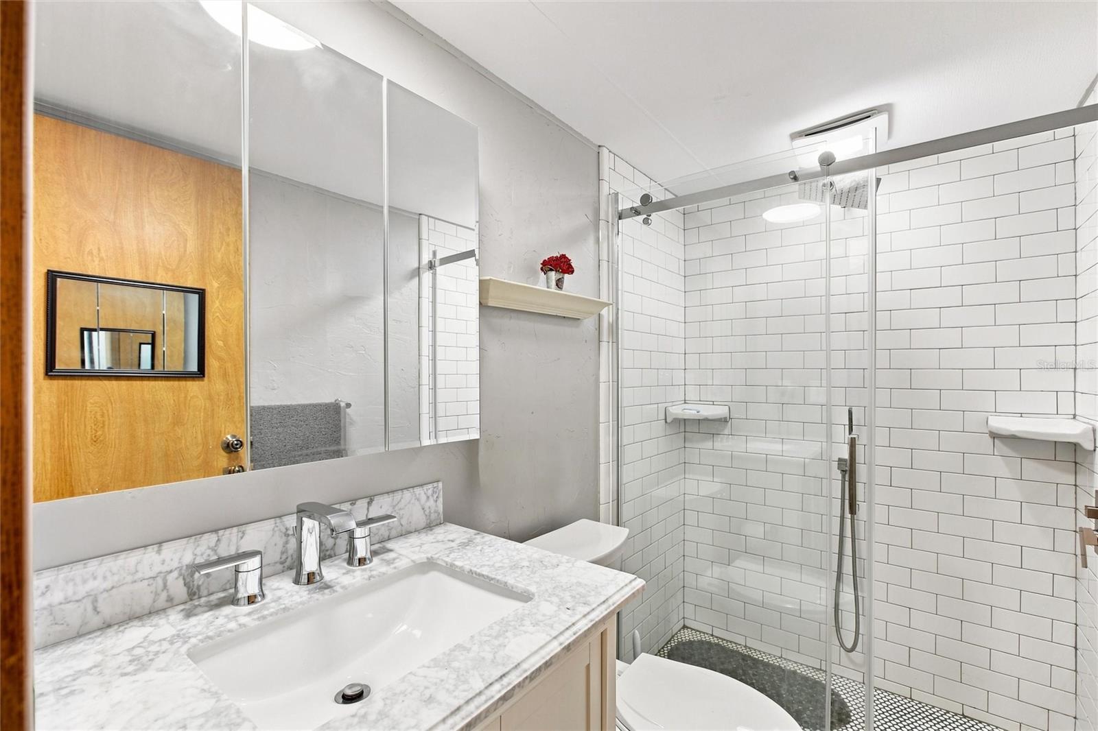 Updated Bathroom with Walk-in shower