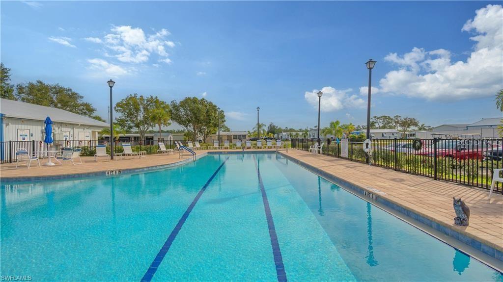 beautiful swimming and lap pool