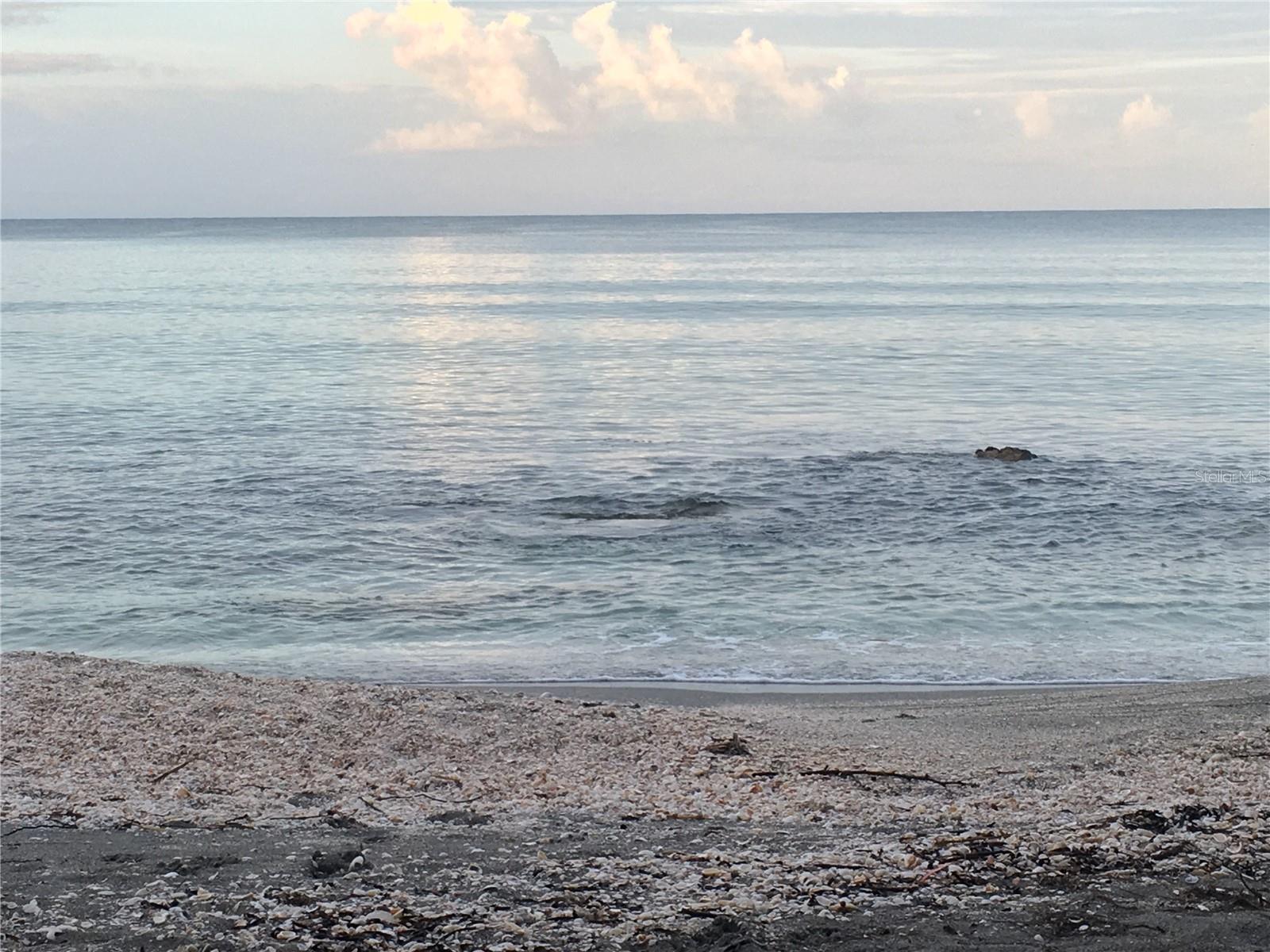 Gulf View