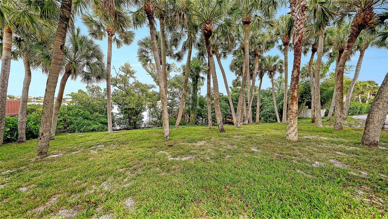 2417 Casey Key Rd, Nokomis, FL 34275 — photo 15 of 25