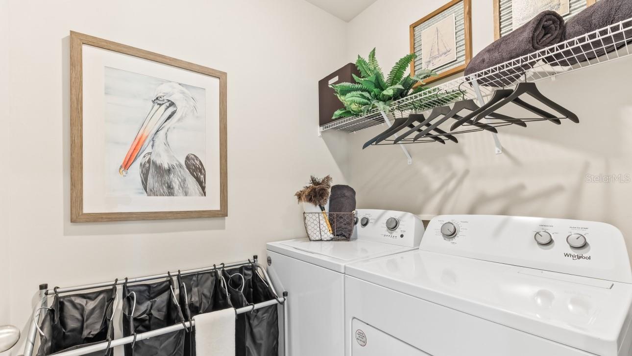 MODEL HOME