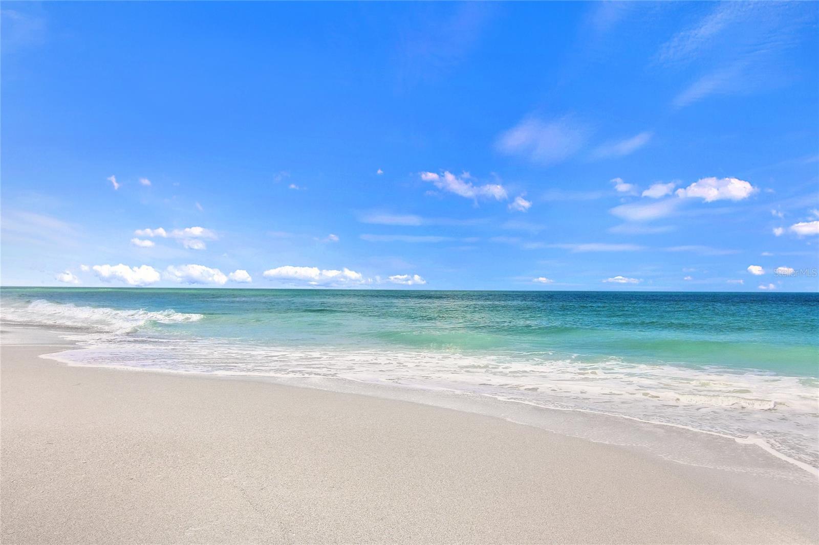 203 Casa del Lago Way #203, Venice, FL 34292 — photo 3 of 54