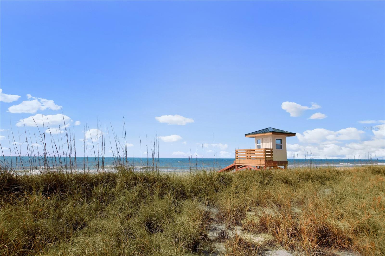 203 Casa del Lago Way #203, Venice, FL 34292 — photo 47 of 54