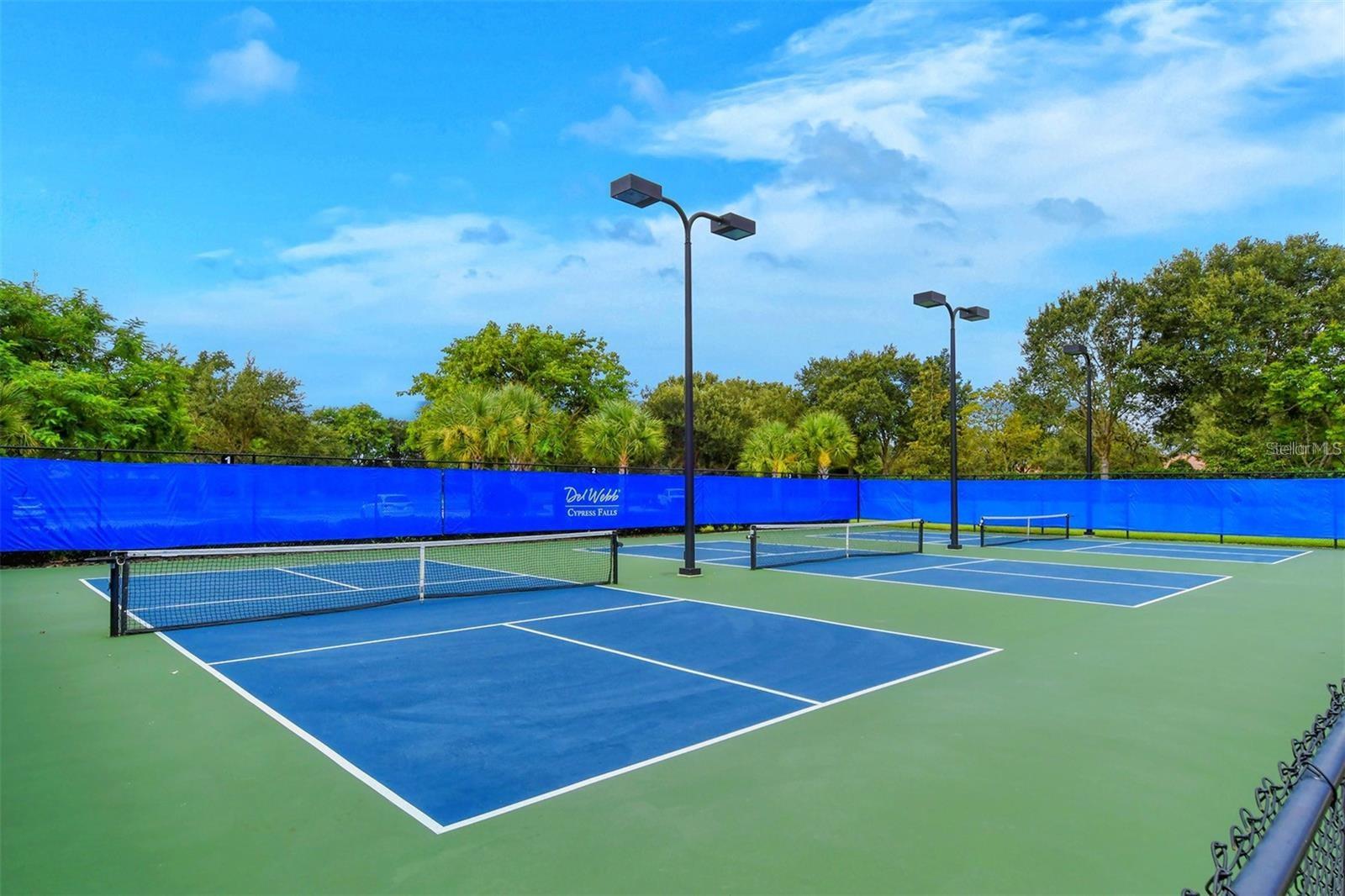 2746 Arugula Dr, North Port, FL 34289 — photo 53 of 61