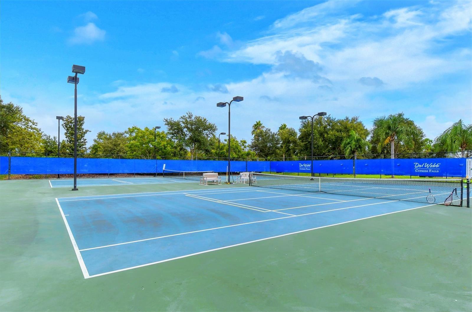 2746 Arugula Dr, North Port, FL 34289 — photo 54 of 61
