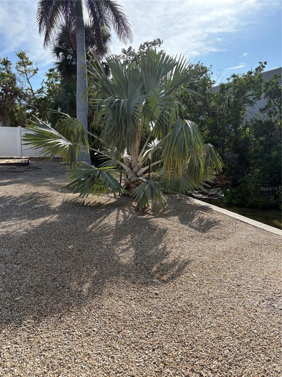 5032 Calle Minorga, Sarasota, FL 34242 — photo 21 of 23