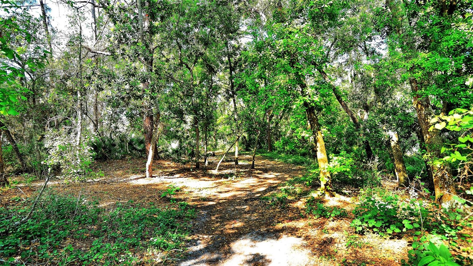 3262 Cross Creek Dr #3262, Sarasota, FL 34231 — photo 59 of 59