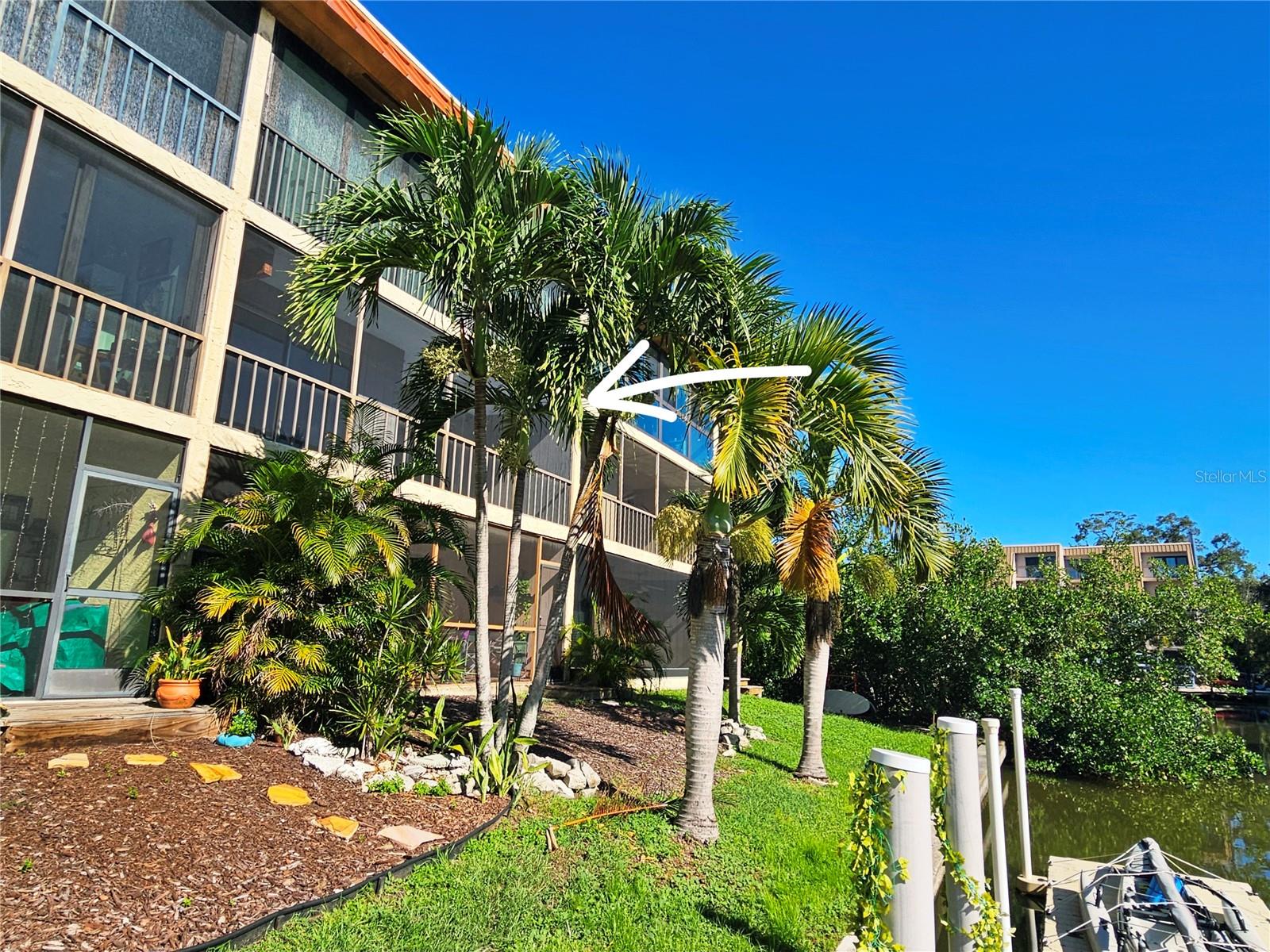 1650 Pine Tree Ln #204, Sarasota, FL 34236 — photo 1 of 40