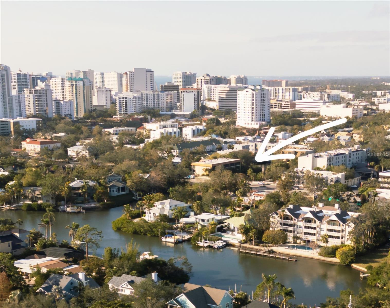 1650 Pine Tree Ln #204, Sarasota, FL 34236 — photo 3 of 40