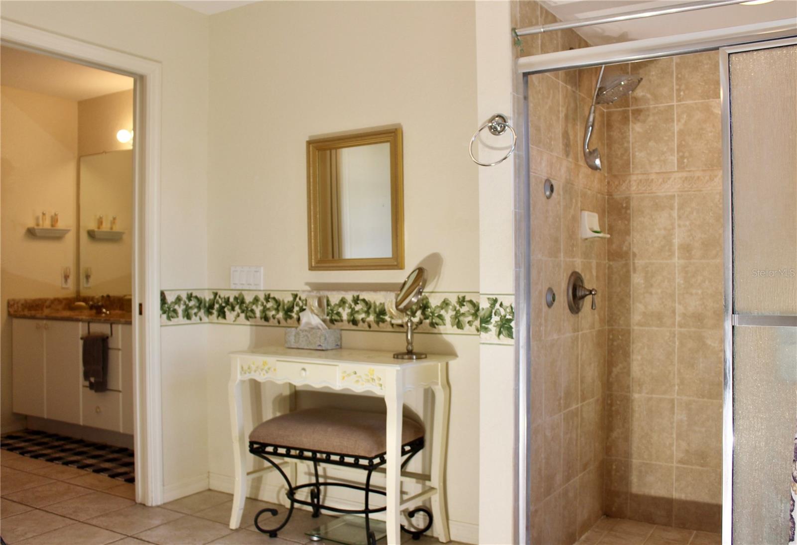 Primary Bath / Shower From Tub
