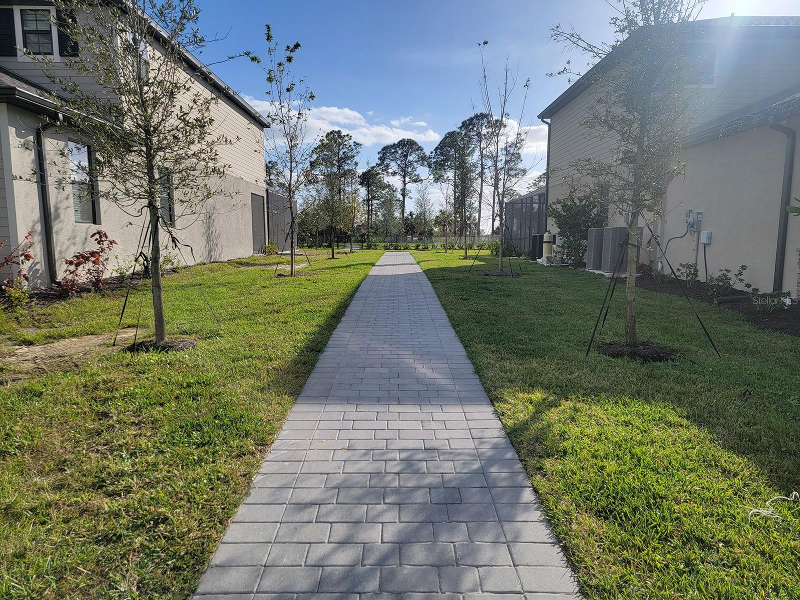 Tortuga Park