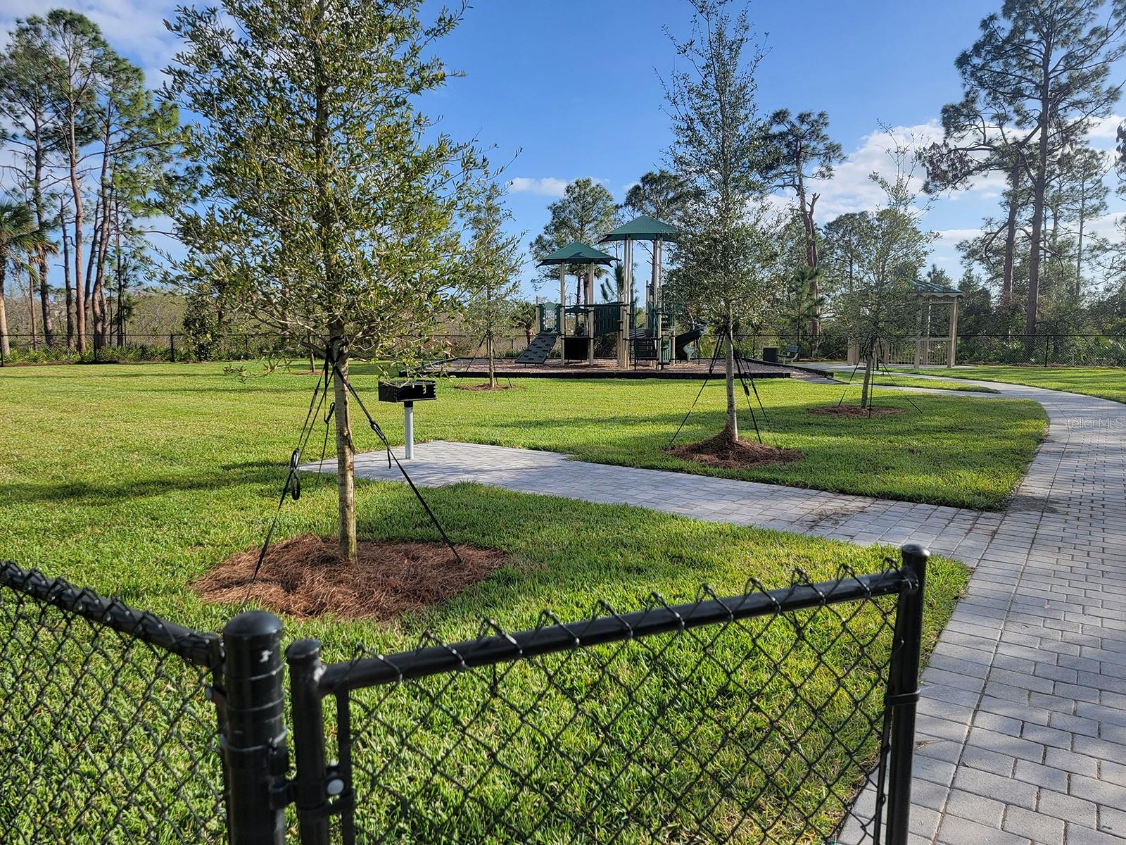 Tortuga Park